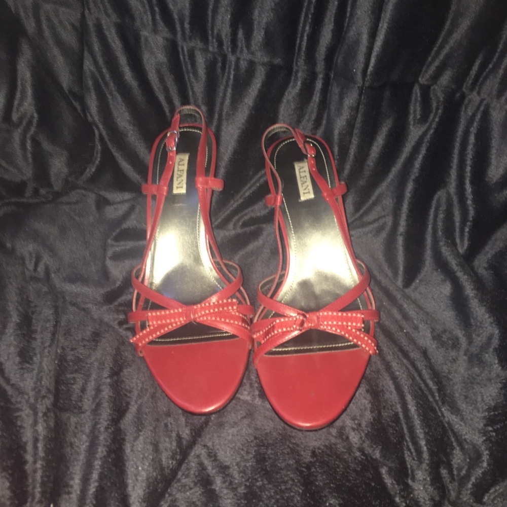 Adorable red Sandler heals